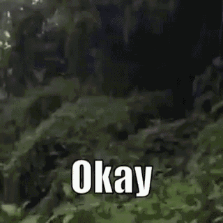Video gif. The camera pans to a close-up of a man's face in the jungle. Unsure, he says, "Okay..."