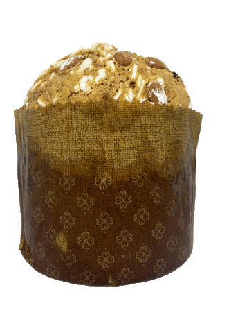 Panettone Sticker by Crisci food innovation