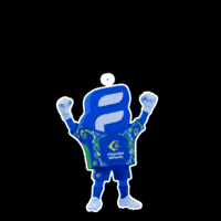 Copa GIF by Esportes da Sorte
