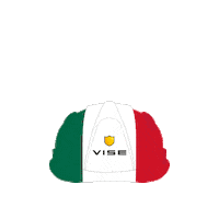 Mexico Sticker by VISE México