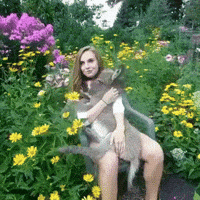 nice GIF