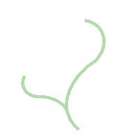 Verde Naturaleza Sticker by tinagus