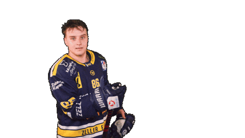 Zellamsee Ekz Sticker by EK Zeller Eisbären