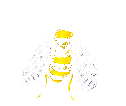 bumble bee illustration Sticker by Aspire to Amble