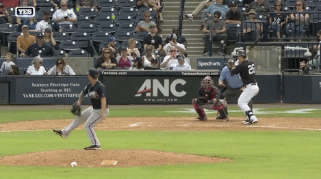 Yankees GIF by Jomboy Media