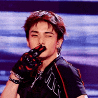 Stray Kids Skz GIF