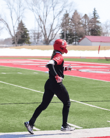 Home Run Softball GIF by MSUM Dragons
