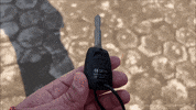 Driving Lets Go GIF by Namaste Car