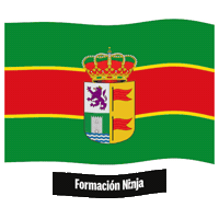 Castilla Y Leon Flag Sticker by Formación Ninja