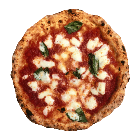 attiliomottolapizzeria giphyupload wow cool pizza Sticker