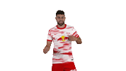 Oh Yeah Yes Sticker by RB Leipzig