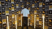 Stare Down Missouri Tigers GIF by Mizzou Athletics