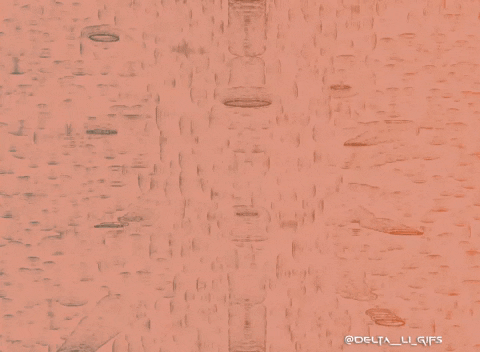 Art Love GIF by Delta__Li