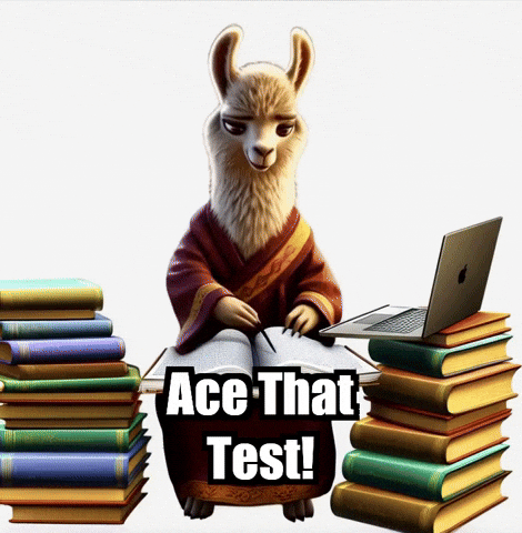 Education Study GIF by dalaillamazen