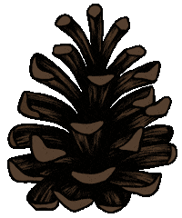 Core Cone Sticker