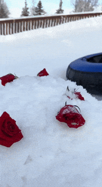 Valentine Corgi GIF