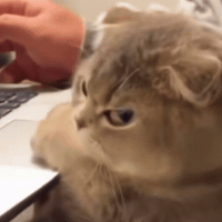 This Is Me Side Eye GIF by Respective