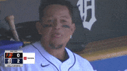 Playing Around Major League Baseball GIF by MLB