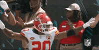 Regular Season Football GIF by NFL