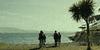 the lobster GIF by A24