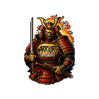 Warriors Samurai Sticker by Sportsclinic