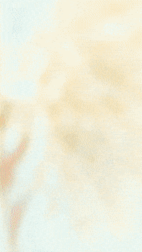 Chica Fivenightsatfreddys GIF by Youtooz