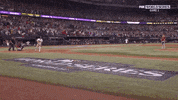 Excited Major League Baseball GIF by MLB