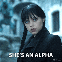 Wednesday GIF by NETFLIX