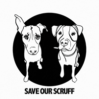 saveourscruff  GIF