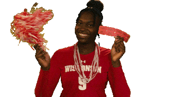 Wisconsin Volleyball Sport Sticker by Wisconsin Badgers