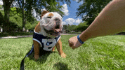 Happy Butler Bulldogs GIF by Butler University