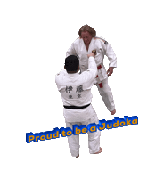 Judo Fighton Sticker by jcvillavital