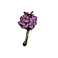 Adam Levine Flower Sticker by Maroon 5