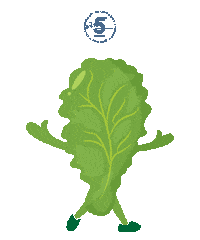 Veggies Lettuce Sticker by Waterfront Market