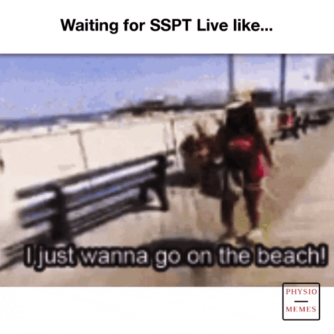 jersey shore beach GIF by Physio Memes