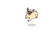 Happy Celebration Sticker