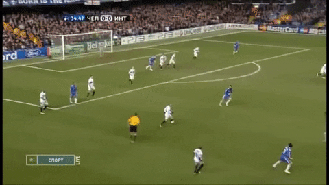 porce9090 giphyupload GIF