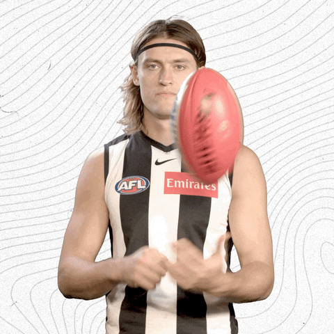 GIF by CollingwoodFC