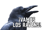 Baltimore Ravens Sport Sticker by Sealed With A GIF