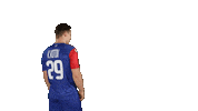 National Team Sport Sticker by Rushandball