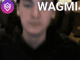 Wagmi GIF by Steady State