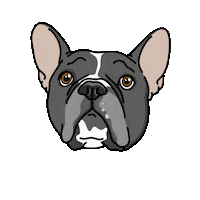 Monty Sticker by Rosedog