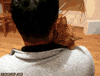 cute cat love GIF