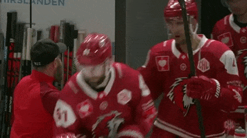 High Five Gang GIF by Champions Hockey League