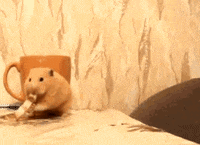 Stay Eating GIF