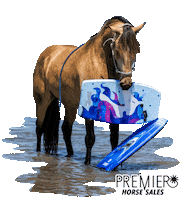 Sticker by MM Auction Services, LLC