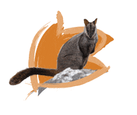 Endangered Species Australia Sticker by NSW Department of Planning, Industry and Environment