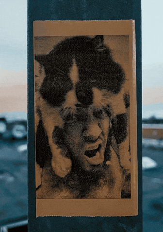 ftrc giphyupload GIF