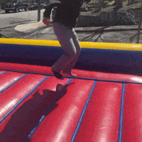 Rags GIF