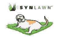 synlawnmedia grass lawn turf greengrass Sticker